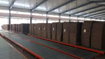 新一代電腦薄刀縱切壓痕機受紙箱廠追捧,業(yè)內名企頻點贊